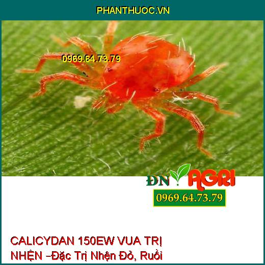 THUỐC TRỪ SÂU CALICYDAN 150EW VUA TRỊ NHỆN –Đặc Trị Sâu Chích Hút, Nhện Đỏ, Ruồi Vàng, Bọ Trĩ