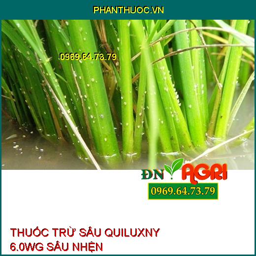 THUỐC TRỪ SÂU QUILUXNY 6.0WG SÂU NHỆN – Đặc Trị Sâu Tơ, Sâu Xanh Da Láng, Sâu Cuốn Lá