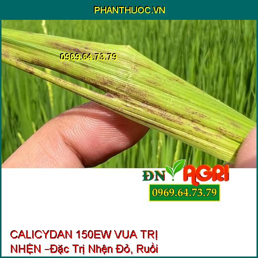 THUỐC TRỪ SÂU CALICYDAN 150EW VUA TRỊ NHỆN –Đặc Trị Sâu Chích Hút, Nhện Đỏ, Ruồi Vàng, Bọ Trĩ