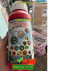 (NPK SINH HỌC GARDEN HT K-HUMATE +TE ĐẠM CÁ ORGANIC SEAWEED AMINO – Nhú Đọt Mạnh, Xanh Lá, Dày Lá)