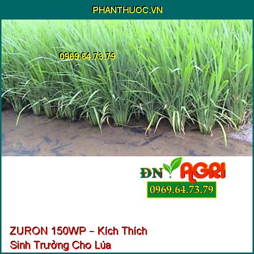 ZURON 150WP – Kích Thích Sinh Trưởng Cho Lúa, Chống Đổ Ngã, Tăng Tỷ Lệ Hạt Chắc