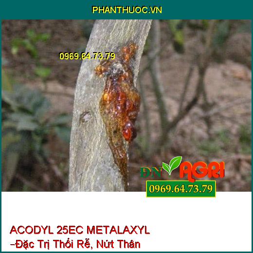 ACODYL 25EC METALAXYL –Đặc Trị Chết Nhanh, Thối Rễ, Nứt Thân, Xì Mủ, Chảy Nhựa