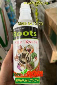 PHÂN BÓN LÁ AUMY ROOTS CONCENTRATE SIÊU TẠO CỦ – Ra Nhiều Rễ, Tạo Nhiều Củ, Đứng Lá, Cứng Cây, To Chắc Củ