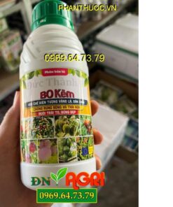 PHÂN BÓN LÁ AUMY ROOTS CONCENTRATE SIÊU TẠO CỦ – Ra Nhiều Rễ, Tạo Nhiều Củ, Đứng Lá, Cứng Cây, To Chắc Củ