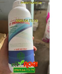 AT- ENERGIZER COMBI- Cân Bằng Dinh Dưỡng, Ra Hoa, Đậu Trái Hiệu Quả