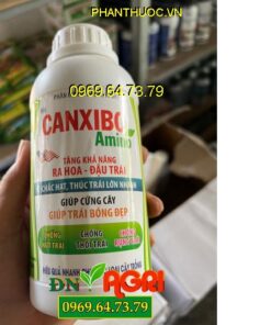 PHÂN BÓN VI LƯỢNG CANXI BO AMINO – Giúp Tăng Ra Hoa, Đậu Trái, Cứng Cây, Trái Bóng Đẹp,Chống Nứt Trái