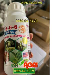 TỨ QUÝ 6-6-6 – PHÂN BÓN NPK BỔ SUNG VI LƯƠNG CHO CÂY TRỒNG SIÊU NHÚ ĐỌT