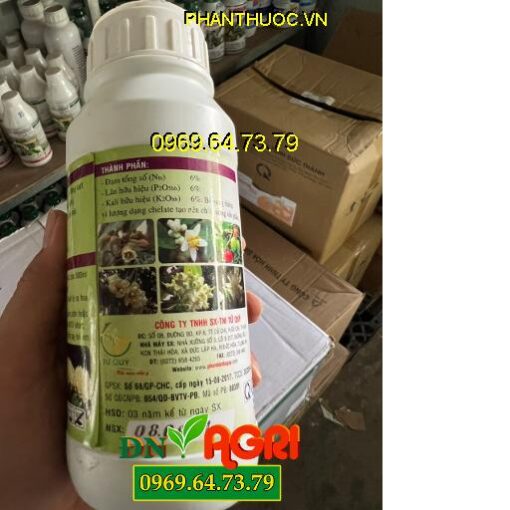 TỨ QUÝ 6-6-6 – PHÂN BÓN NPK BỔ SUNG VI LƯƠNG CHO CÂY TRỒNG SIÊU NHÚ ĐỌT