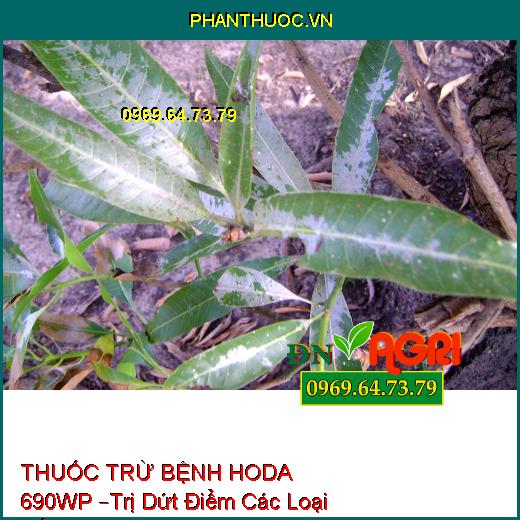 THUỐC TRỪ BỆNH HODA 690WP –Trị Dứt Điểm Các Loại Nấm, Sương Mai, Thối Nhũn