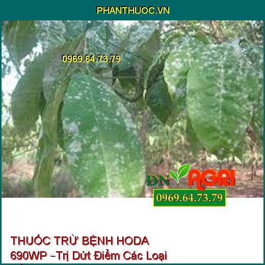 THUỐC TRỪ BỆNH HODA 690WP –Trị Dứt Điểm Các Loại Nấm, Sương Mai, Thối Nhũn