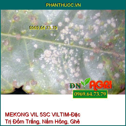 MEKONG VIL 5SC VILTIM-Đặc Trị Đốm Trắng, Nấm Hồng, Ghẻ Sẹo ,Thán Thư