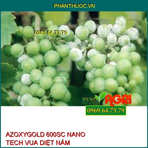 AZOXYGOLD 600SC NANO TECH VUA DIỆT NẤM –Cây Sinh Trưởng Tốt, Lá Xanh Khỏe