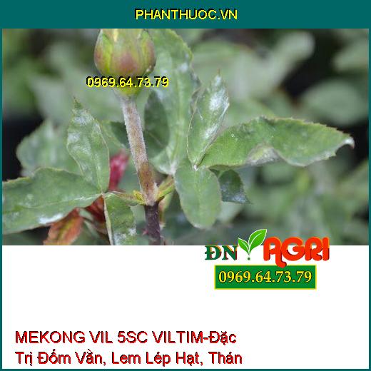 MEKONG VIL 5SC VILTIM-Đặc Trị Đốm Vằn , Lem Lép Hạt, Thán Thư, Nấm Hồng