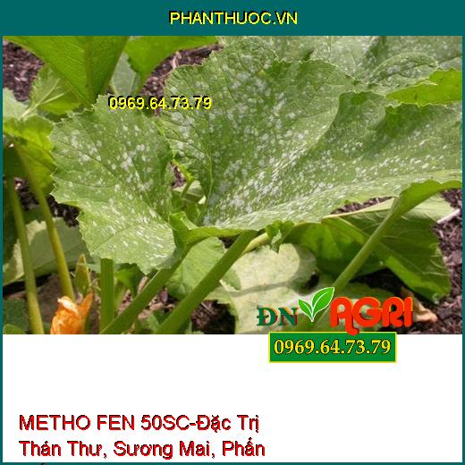 THUỐC TRỪ BỆNH METHO FEN 50SC-Đặc Trị Thán Thư, Sương Mai, Phấn Trắng, Vàng Lá