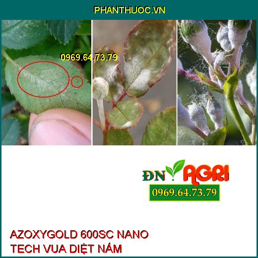 AZOXYGOLD 600SC NANO TECH VUA DIỆT NẤM –Cây Sinh Trưởng Tốt, Lá Xanh Khỏe