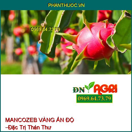 MANCOZEB VÀNG ẤN ĐỘ –Đặc Trị Thán Thư, Các Loài Bệnh Hại Cây Trồng