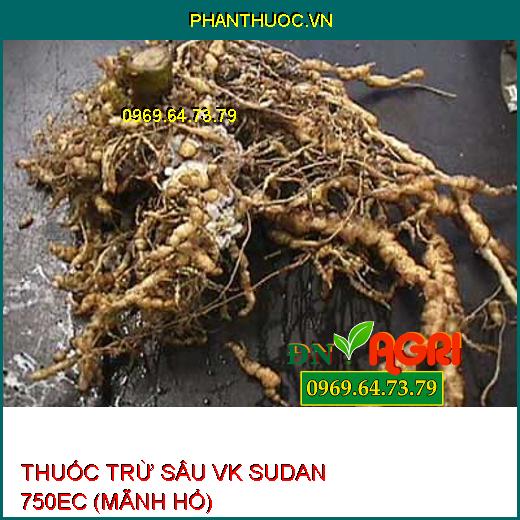 THUỐC TRỪ SÂU VK SUDAN 750EC (MÃNH HỔ) – Đặc Trị Sâu Cuốn Lá, Nhện Gié, Rầy Nâu Hại Lúa, Sâu Xanh Da Láng Hại Đậu Tương