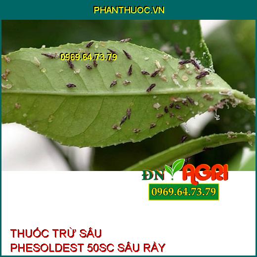 THUỐC TRỪ SÂU PHESOLDEST 50SC SÂU RẦY HI-TECH 5.0 – Đặc Trị Rầy Lưng Trắng, Rầy Xanh