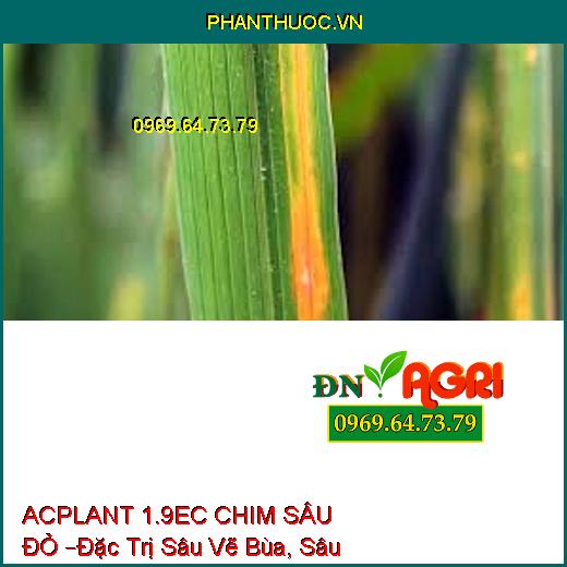 THUỐC TRỪ SÂU ACPLANT 1.9EC CHIM SÂU ĐỎ –Đặc Trị Sâu Vẽ Bùa, Sâu Phao Đục Bẹ