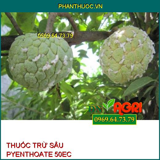 THUỐC TRỪ SÂU PYENTHOATE 50EC – Đặc Trị Rệp Sáp, Rệp Kim, Sâu Róm, Sâu Đục Thân, Đục Quả, Mọt Đục Cành, Ruồi Vàng, Bọ Xít Muỗi, Rầy Xanh