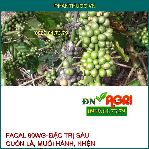 THUỐC TRỪ SÂU FACAL 80WG – Đặc Trị Sâu Cuốn Lá, Muỗi Hành, Nhện Gié, Bọ Trĩ Trên Lúa, Nhện Đỏ Trên Chè, Bọ Xít Muỗi Hại Điều, Rệp Sáp Hại Cà Phê