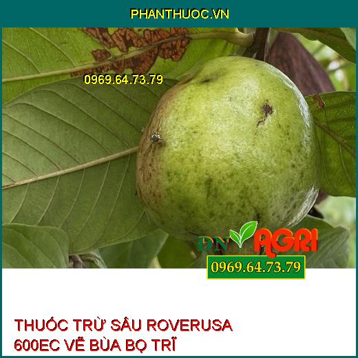 THUỐC TRỪ SÂU ROVERUSA 600EC VẼ BÙA BỌ TRĨ – Đặc Trị Sâu Vẽ Bùa, Bọ Trĩ, Ruồi Vàng, Rệp Sáp, Nhện Đỏ