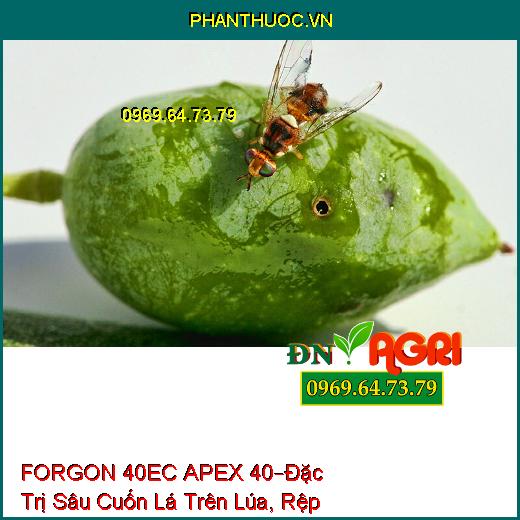 THUỐC TRỪ SÂU FORGON 40EC APEX 40 –Đặc Trị Sâu Cuốn Lá Trên Lúa, Rệp Sáp