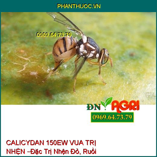 THUỐC TRỪ SÂU CALICYDAN 150EW VUA TRỊ NHỆN –Đặc Trị Sâu Chích Hút, Nhện Đỏ, Ruồi Vàng, Bọ Trĩ