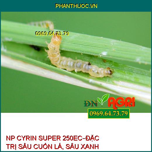 NP CYRIN SUPER 250EC – ĐẶC TRỊ SÂU CUỐN LÁ TRÊN LÚA, SÂU XANH TRÊN ĐẬU TƯƠNG