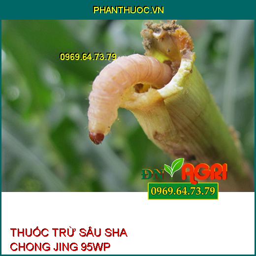 THUỐC TRỪ SÂU SHA CHONG JING 95WP- Đặc Trị Sâu Đục Thân, Rầy Xanh