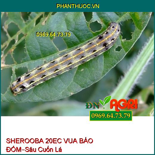 SHEROOBA 20EC VUA BÁO ĐỐM – Sâu Cuốn Lá, Sâu Tơ, Sâu Khoang, Sâu Xanh, Nhện Đỏ