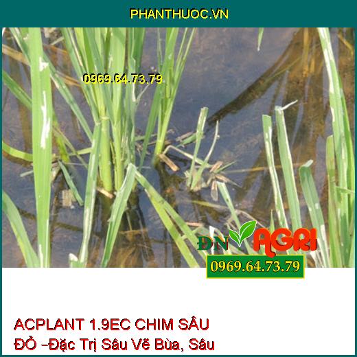 THUỐC TRỪ SÂU ACPLANT 1.9EC CHIM SÂU ĐỎ –Đặc Trị Sâu Vẽ Bùa, Sâu Phao Đục Bẹ