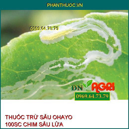 THUỐC TRỪ SÂU OHAYO 100SC CHIM SÂU LỬA – Đặc Trị Sâu Cuốn Lá, Nhện Gié, Bù Lạch, Sâu Xanh