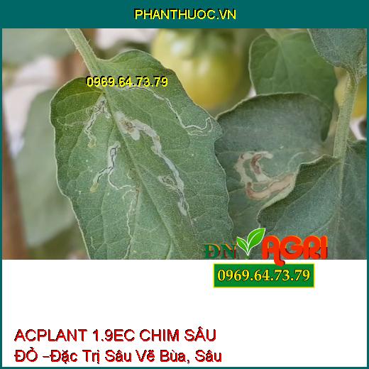 THUỐC TRỪ SÂU ACPLANT 1.9EC CHIM SÂU ĐỎ –Đặc Trị Sâu Vẽ Bùa, Sâu Phao Đục Bẹ