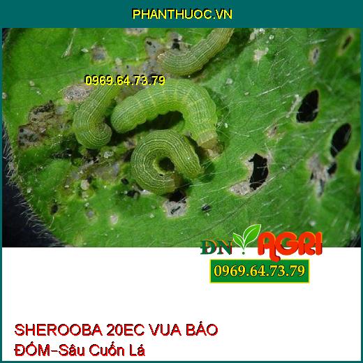 SHEROOBA 20EC VUA BÁO ĐỐM – Sâu Cuốn Lá, Sâu Tơ, Sâu Khoang, Sâu Xanh, Nhện Đỏ