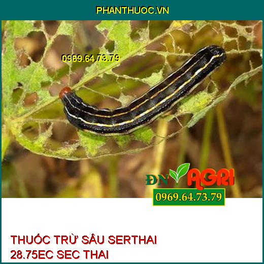 THUỐC TRỪ SÂU SERTHAI 28.75EC SEC THAI – Đặc Trị Rệp Sáp, Tuyến Trùng, Mọt Đục Cành, Đục Quả