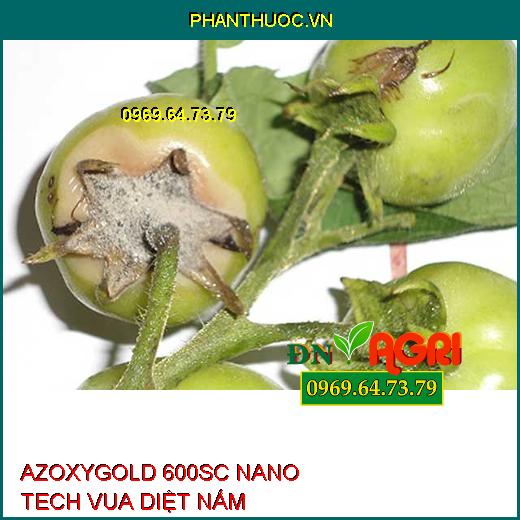 AZOXYGOLD 600SC NANO TECH VUA DIỆT NẤM –Cây Sinh Trưởng Tốt, Lá Xanh Khỏe