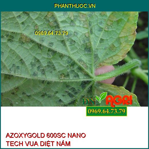 AZOXYGOLD 600SC NANO TECH VUA DIỆT NẤM –Cây Sinh Trưởng Tốt, Lá Xanh Khỏe