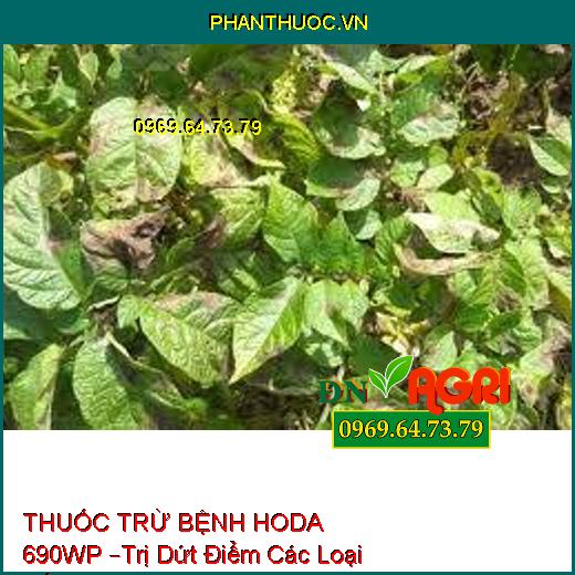 THUỐC TRỪ BỆNH HODA 690WP –Trị Dứt Điểm Các Loại Nấm, Sương Mai, Thối Nhũn