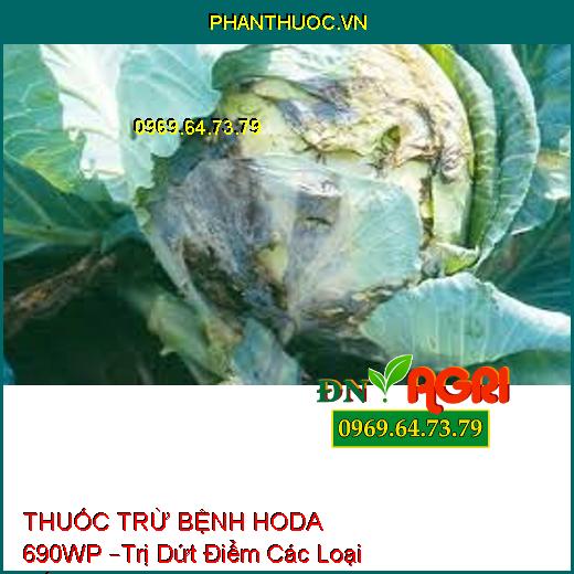 THUỐC TRỪ BỆNH HODA 690WP –Trị Dứt Điểm Các Loại Nấm, Sương Mai, Thối Nhũn