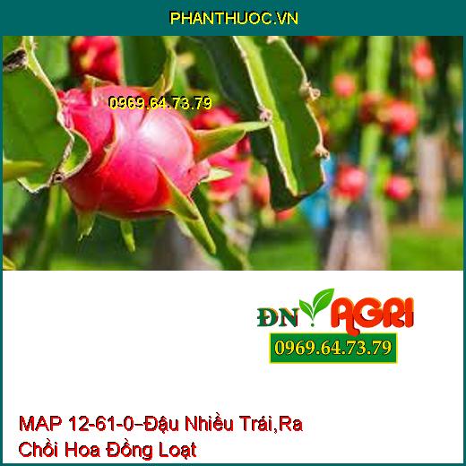 PHÂN BÓN PHỨC HỢP MAP 12-61-0 –Đậu Nhiều Trái, Nặng Ký, Ra Chồi Hoa Đồng Loạt