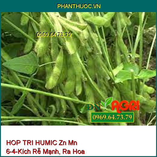 PHÂN BÓN LÁ VI LƯỢNG HOP TRI HUMIC Zn Mn 6-4-Kích Rễ Mạnh, Ra Hoa, Đậu Trái, Kết Hạt