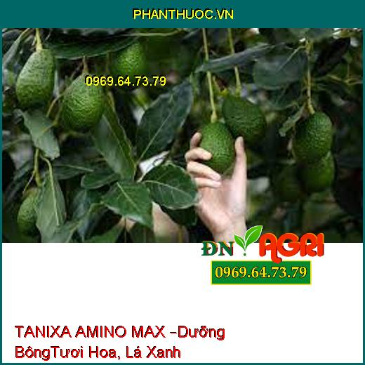 TANIXA AMINO MAX –Dưỡng Bông, Tươi Hoa, Chắc Củ, Lá Xanh Mướt, Đậu Trái