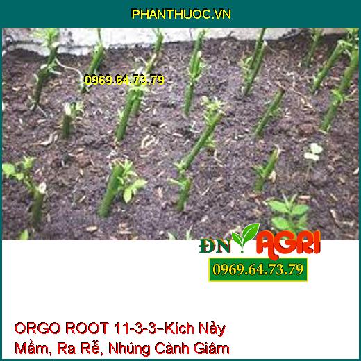 ORGO ROOT 11-3-3 –Kích Nảy Mầm, Ra Rễ, Nhúng Cành Giâm, Tăng Đậu Trái