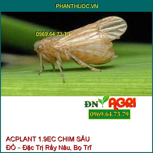 THUỐC TRỪ SÂU ACPLANT 1.9EC CHIM SÂU ĐỎ – Đặc Trị Sâu Vẽ Bùa, Sâu Phao Đục Bẹ, Bọ Trĩ Rầy Nâu