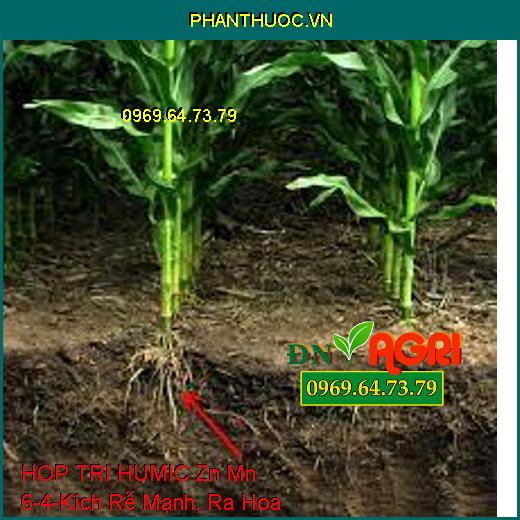 PHÂN BÓN LÁ VI LƯỢNG HOP TRI HUMIC Zn Mn 6-4-Kích Rễ Mạnh, Ra Hoa, Đậu Trái, Kết Hạt