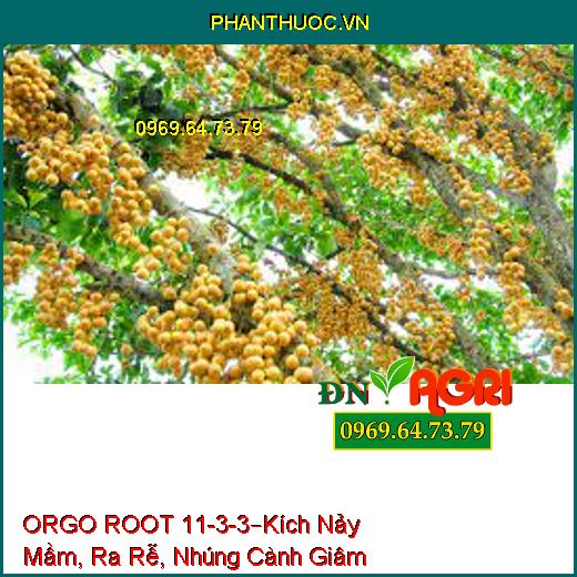 ORGO ROOT 11-3-3 –Kích Nảy Mầm, Ra Rễ, Nhúng Cành Giâm, Tăng Đậu Trái