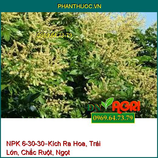 (PHÂN BÓN NPK 6-30-30 – Kích Ra Hoa, Ra Hoa Đồng Loạt, Trái Lớn Nhanh, Chắc Ruột Nặng Ký, Ngọt Trái, Lên cơm)