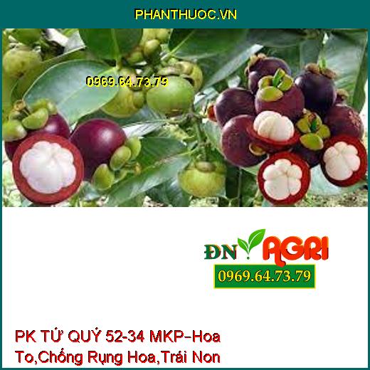 PHÂN BÓN RỄ PK TỨ QUÝ 52-34 MKP –Hoa To, Cuống Khỏe, Chống Rụng Hoa, Trái Non