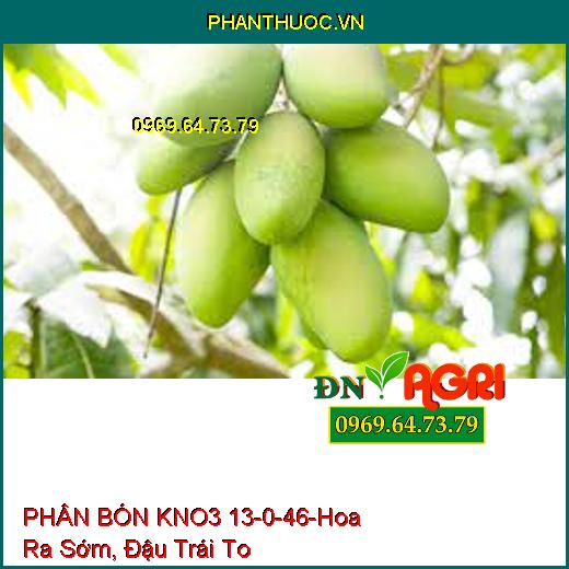 PHÂN BÓN KNO3 13-0-46 –Tăng Kích Thước Trái, Cứng Cây, Hoa Ra Sớm, Đậu Trái To